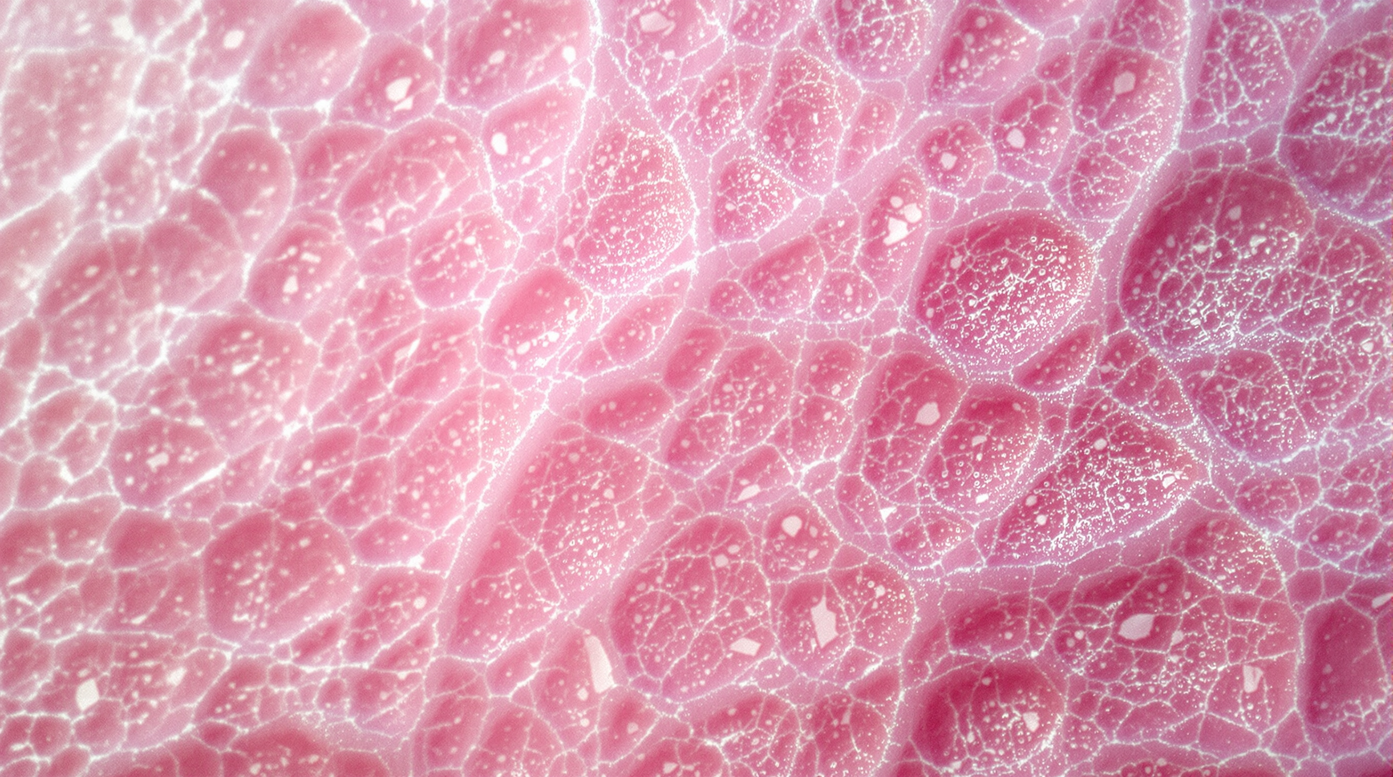 Technologies beauté 2026 au centre esthétique DENISSA